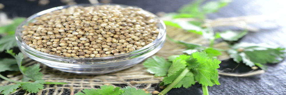 Coriander Seeds